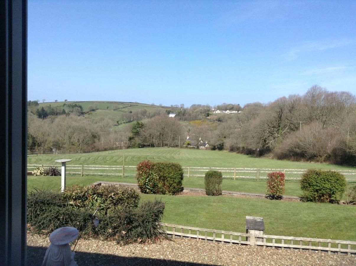 3 Bed Cottage With Hot Tub & Near New Quay Wales Llandysul Exteriör bild